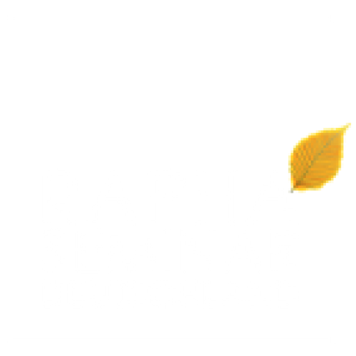 Rapha-Seminar